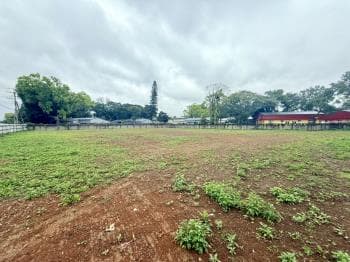 馬年賀歲★千坪交通用地 -  物件封面