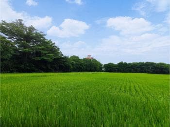 新竹台灣知識園區璞玉田 -  物件封面
