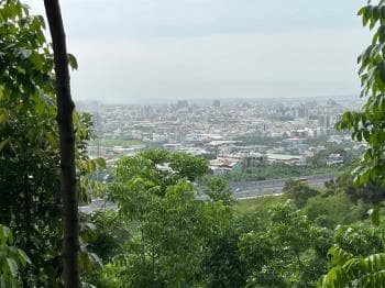 大地坪桃心木林地 -  物件封面