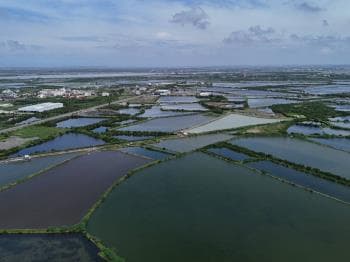 安南區千坪魚塭大地 -  物件封面