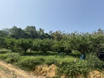 山嵐輕繞悠然靜居天地Ｂ -  物件封面